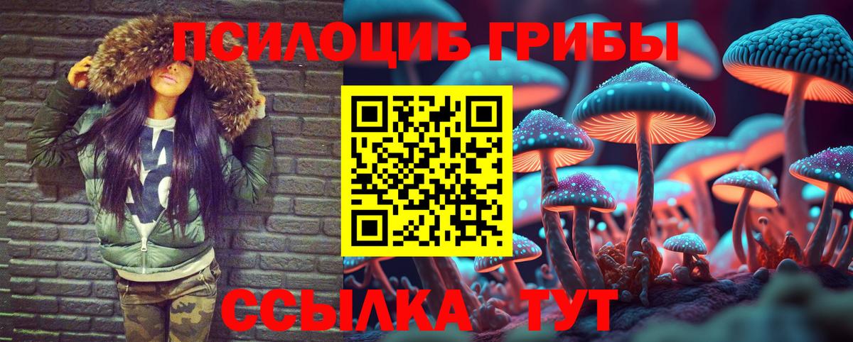 Псилоцибиновые грибы MAGIC MUSHROOMS  Вход с VPN  Псилоцибиновые грибы Psilocybe  Биробиджан 